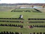 Brooklandwood, Site of the Queen's Cup Steeplechase