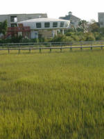 neighboring house designed by a Charlotte architect