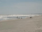 on the Huntington Beach State Park seashore looking south