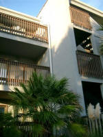 Looking over palm tree up to Trina's balcony at A Place at the Beach