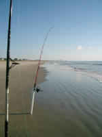 Myrtle Beach from a "fishy angle"