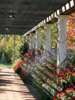 View in the colonnade to a Christmas tree of white lights.
