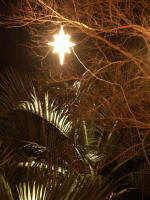 A star led the Wise Men to find the reason for this season.