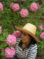 Thu loves blooming rhododendrons.