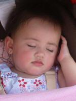 Meghan in the stroller asleep in the Canal Garden.