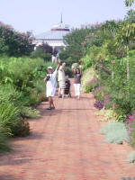 Bye bye, Mehn Sam, Joey, Meghan, and Vaughn!