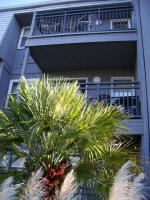 Looking up to Trina's balcony at the break of day.