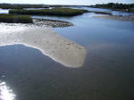 A spit of land midday at low tide.