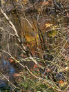 Pond at Ghiloni Recreation Area