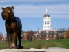 MU: The University of Mussouri-Columbia Mizzou Tiger, and Jesse Hall