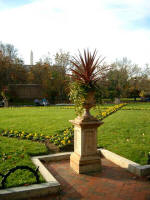 Enid A. Haupt rooftop garden: urn overflowing with plants