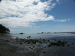 Green algae-covered rocks at the mouth of Cedar Creek on Ruby Beach, just a few footsteps down a winding lane.