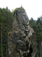 Gull sits atop sea stack rock formation adjacent to the oceanside forest, June 25, 2007.