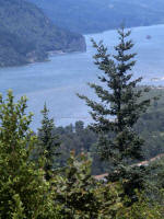 The mighty Columbia River gashed an 80-mile-long Gorge through black basalt cliffs, cutting ribbon-like waterfalls that cascade down steep-sided hills lined thick with luxuriant firs. 