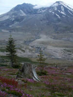 Mount Saint Helens is an active stratovolcano situated in Skamania County, Washington (96 miles south of Seattle, and 53 miles northeast of Portland, Oregon).