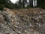 Above the timber line: gray rocky ridges and pumice fields. The fine dark gray rocks are andesite lava, the coarse light gray rocks are Tatoosh granodiorite (calcium-rich granite).