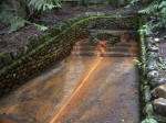 Longmire's cabin stands by the ferrous Iron Mike Mineral Spring. High iron content precipitates as the water cools, tinting mossy rocks a vivid orange between the stone walls built in 1920. The Longmires' road, lodge, and baths drew tourists, eventually generating support for a national park.