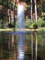 Friendship Pond and Mirror Lake complete the watery milieu in the Garden's 155 acres of gardens; the water features & fountains add attractive sounds & motion.